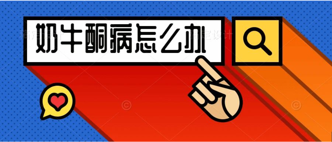 听说你还在为“奶牛酮病”困扰？